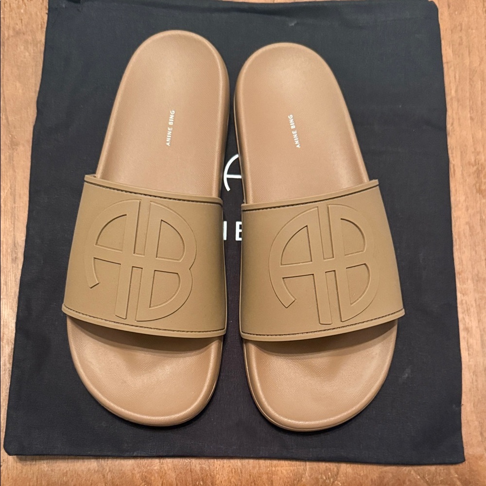 Anine Bing Tan Slide Sandals